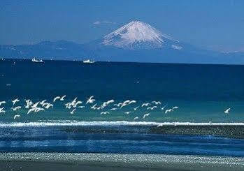 Tateyama Seaside Hotel Eksteriør bilde